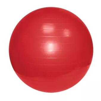 Мяч гимнастический GMp 65 см с насосом